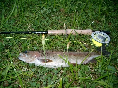 ...macht auch viel spaß...Fliegenfischen auf Forellen in Bayern