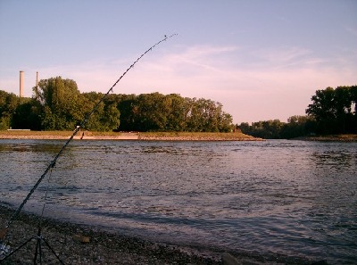 Sonnenuntergang am Rhein in Mechtersheim